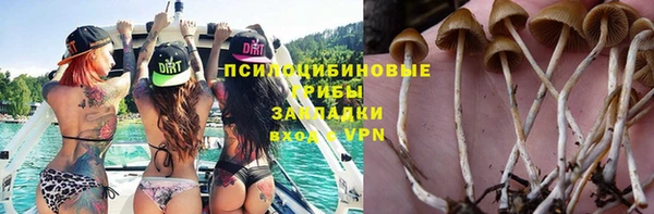 ГАЛЛЮЦИНОГЕННЫЕ ГРИБЫ Алексин