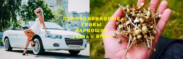 ГАЛЛЮЦИНОГЕННЫЕ ГРИБЫ Алексин