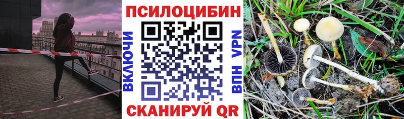 Псилоцибиновые грибы Magic Shrooms  Крымск 